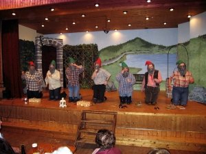 frauenkarneval_2009_85_20090224_1289084991