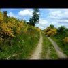 Wandern auf dem Franziskusweg in Kückelheim